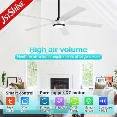65 Inch Modern LED Ceiling Fan DC Motor Large High Air Volume ABS Blade