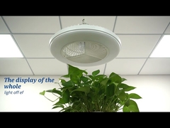 การควบคุมแอพอัจฉริยะพัดลมเพดาน LED ฟลัชเมาท์ขนาด 20 นิ้วสำหรับห้องนอน