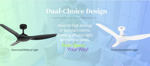 ข่าวล่าสุดของบริษัทเกี่ยวกับ แฟนเดียว มีความเป็นไปได้มากมาย: ตัวเลือกที่สามารถปรับแต่งได้จาก 1stShine